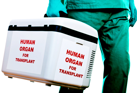 Operatore con contenitore per trasporto organi 