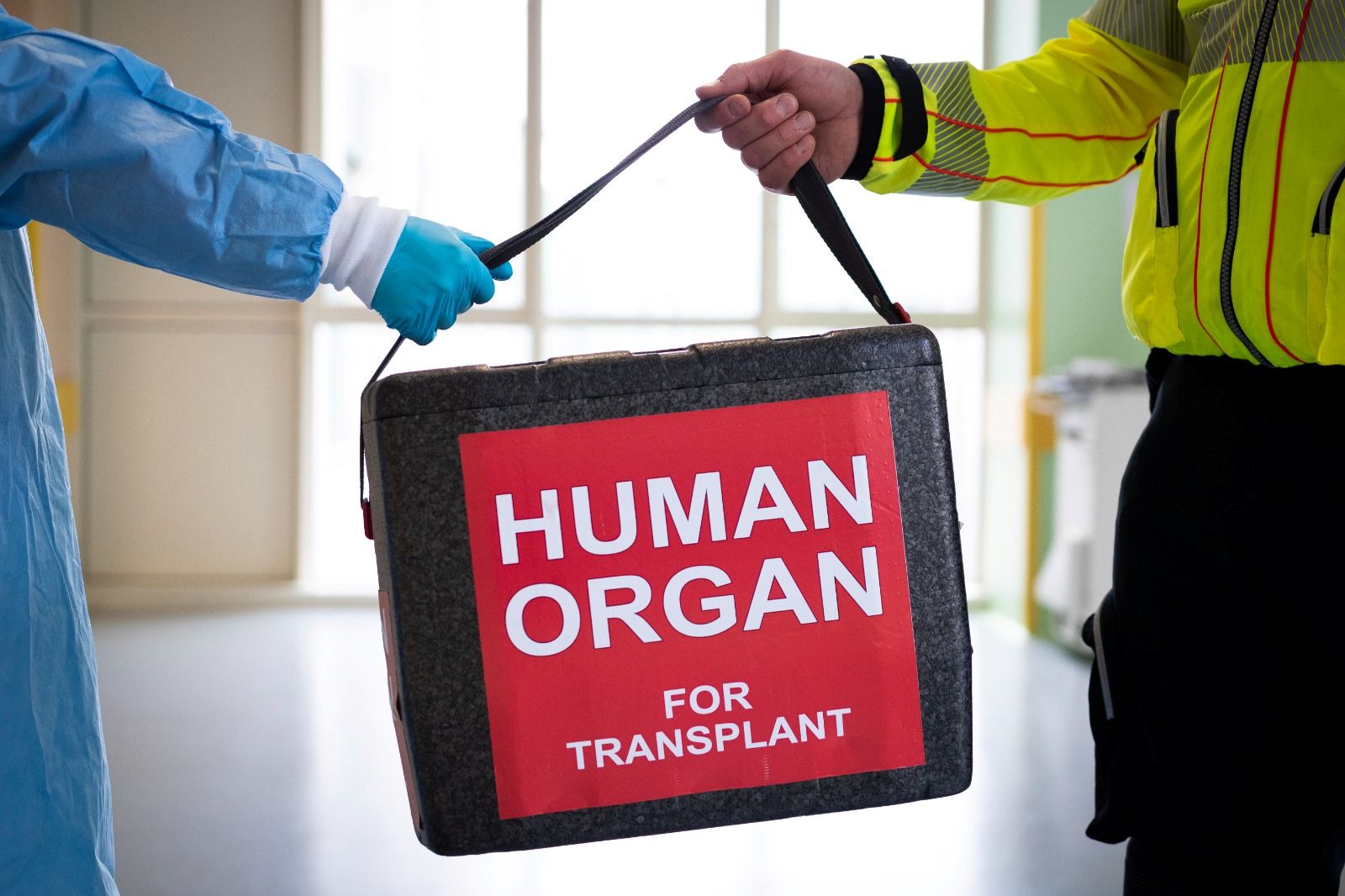 immagine In 48 ore quattro donazioni multitessuto in Lombardia: oltre 50 pazienti potranno tornare a vedere, camminare o guarire da gravi patologie